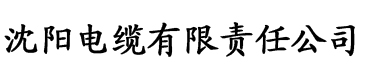 香蕉国产精品久久电缆厂logo